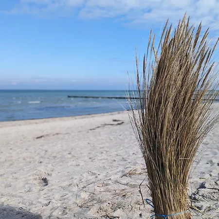 Zur Doepe Am Schweriner 別荘 *